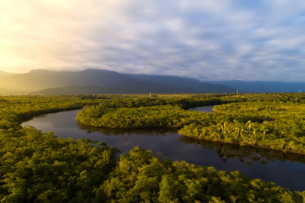 Amazon,Rainforest,In,Brazil Amazon,Rainforest,In,Brazil