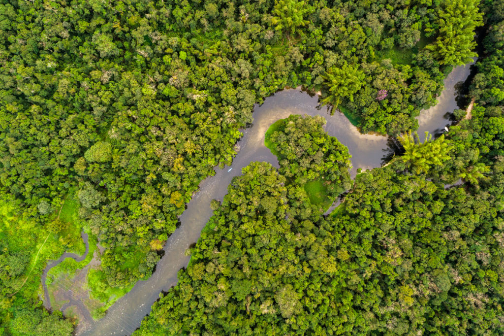 Aerial,View,Of,Amazon,Rainforest,,South,America