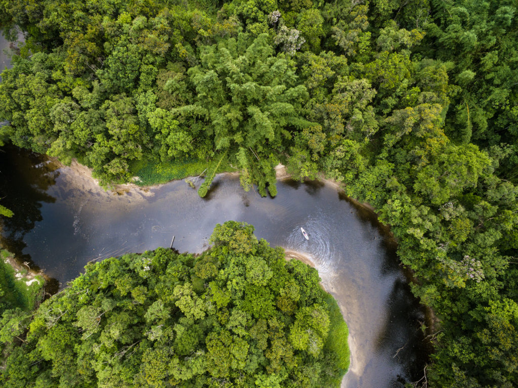 Top,View,Of,Amazon,Rainforest,,Brazil Top,View,Of,Amazon,Rainforest,,Brazil